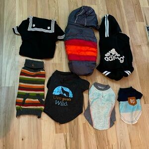 Puppy clothing lot